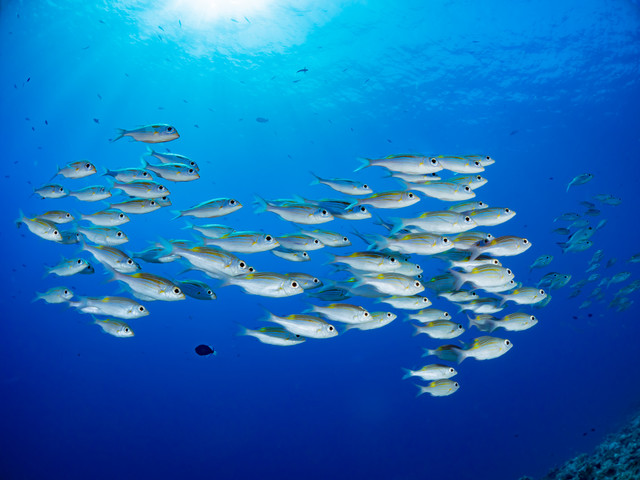 漁師が儲かる地域