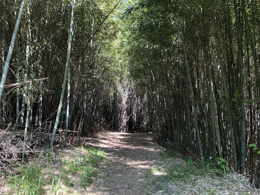 日の出がきれい