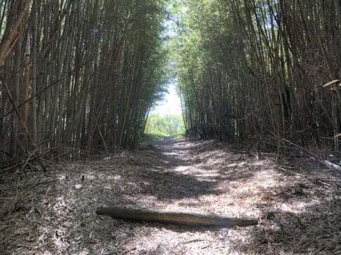 小赤壁公園(姫路)
