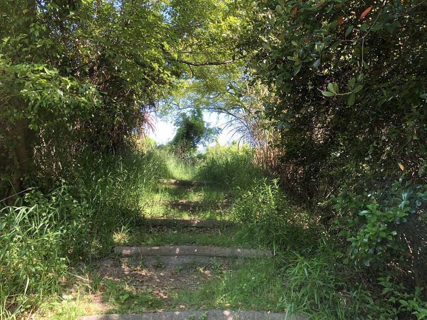 読み方：しょうせきへき