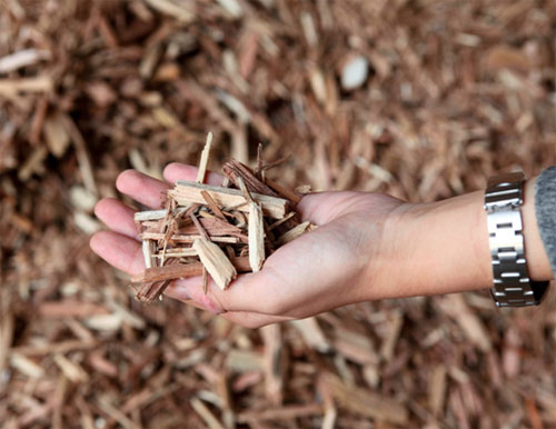 バイオマス発電