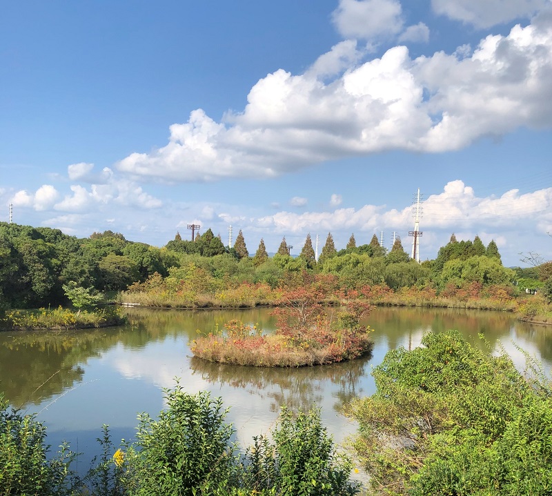 姫路 バードウォッチング