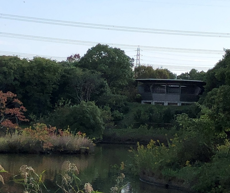 近くの野鳥スポット