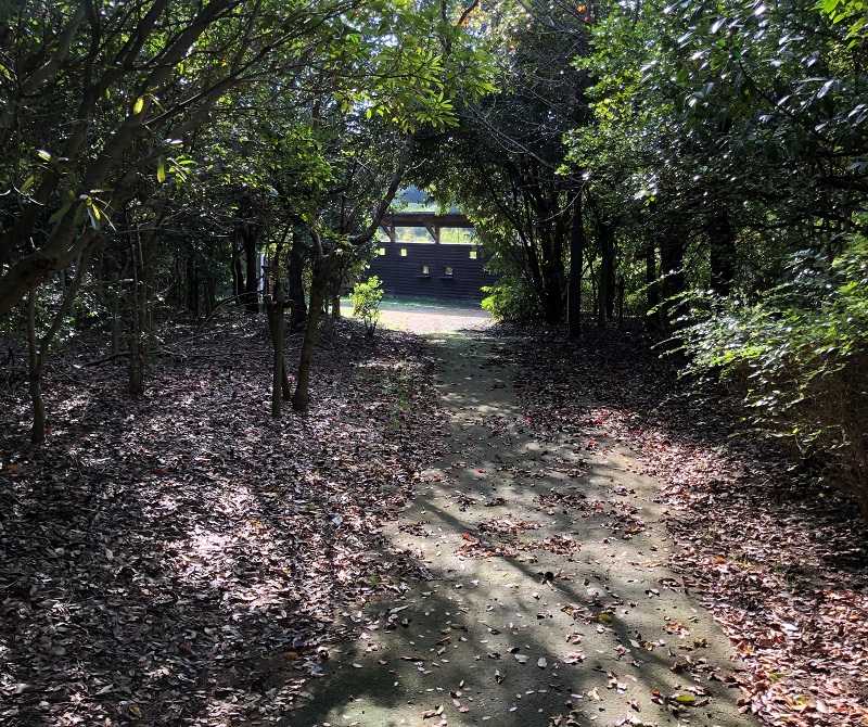 兵庫県 野鳥 スポット