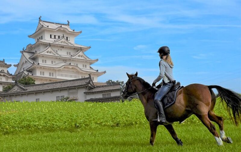 姫路動物園 なくなる