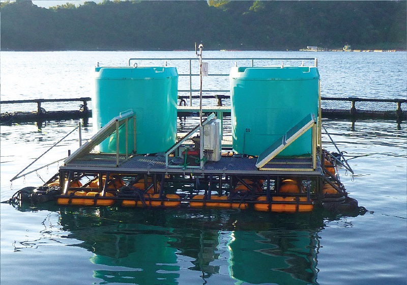 自動給餌システム