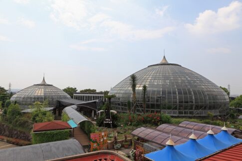 手柄山温室植物園