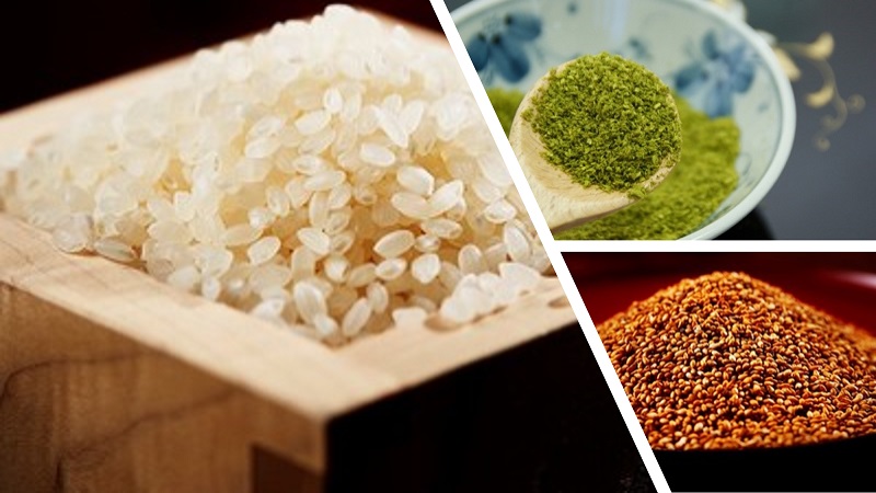 姫路駅 穴子弁当　