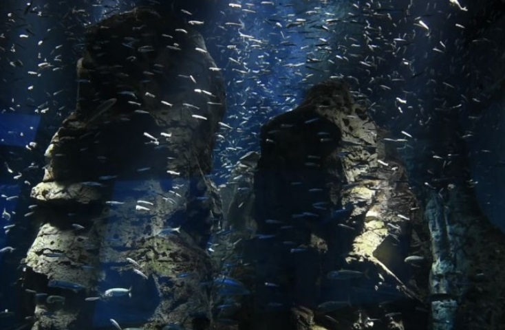 儲かる漁師の仕事