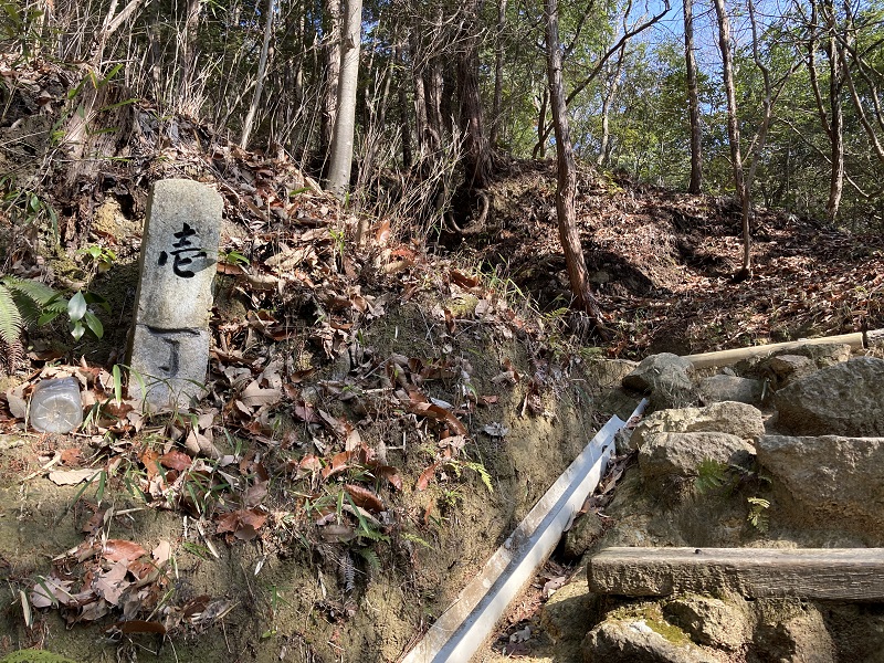 ハイキングコース