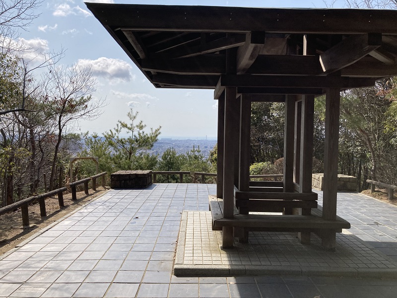 ピクニックのポイント