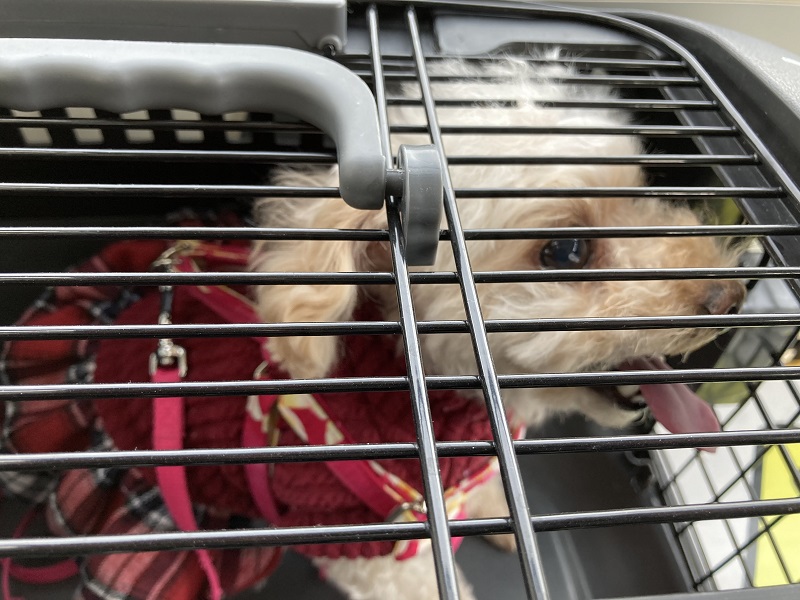 姫路 書写山圓教寺