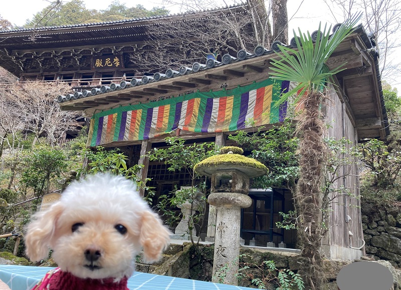 書写山について