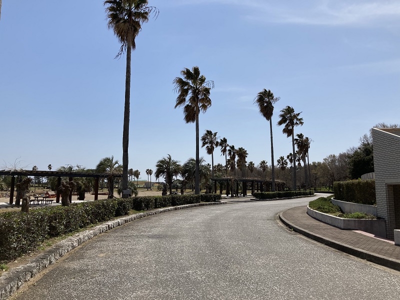 赤穂の砂浜を歩く