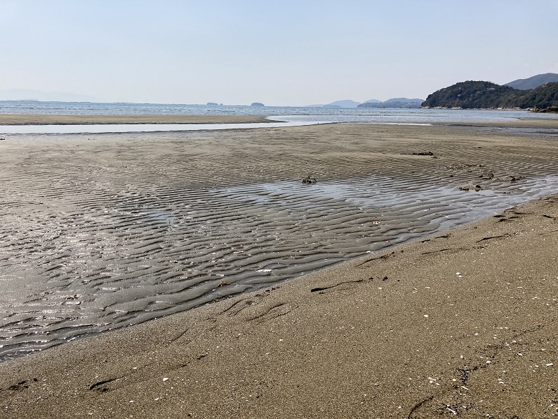 新舞子海水浴場 写真
