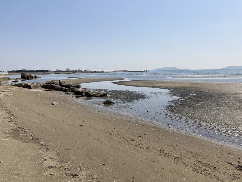 新舞子 潮干狩り