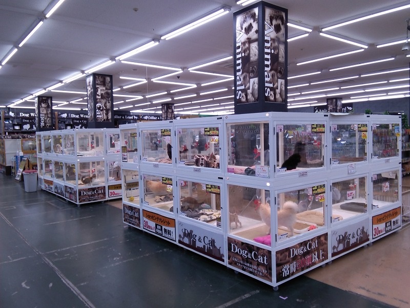 ムサシ姫路店のペットショップ