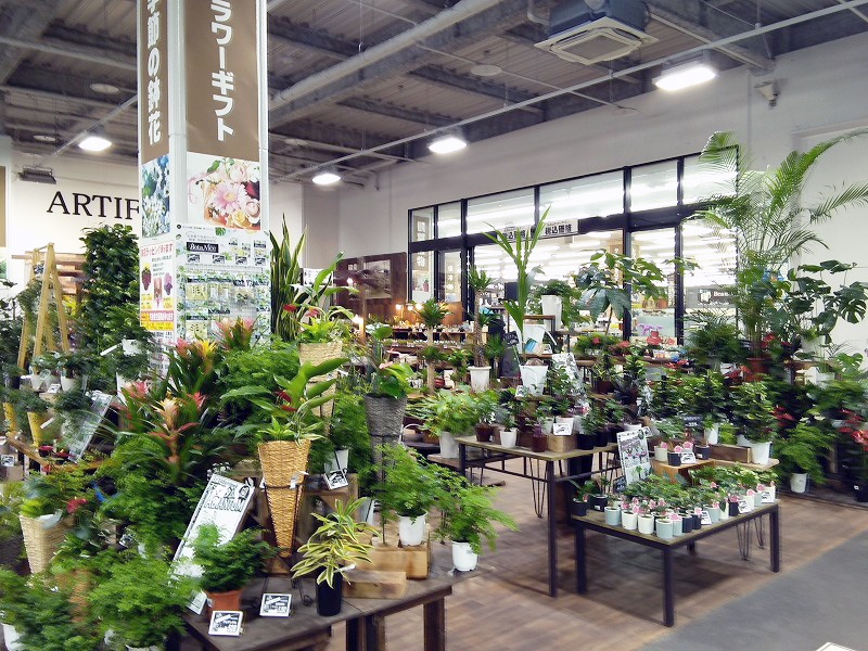 ムサシ姫路店のガーデニング・アウトドア売場