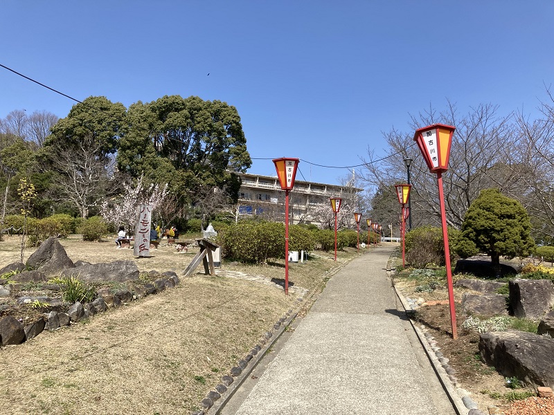 芝生広場でピクニック