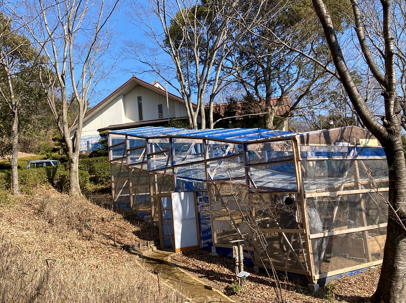 カブトムシのスポット