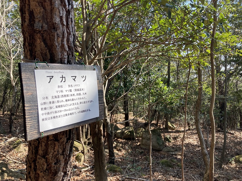 自然が楽しい観光スポット