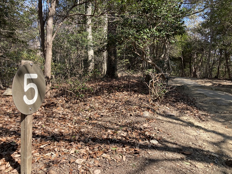 緩やかなハイキングコース