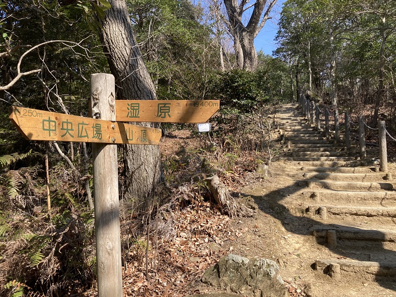 姫路の湿原を観光