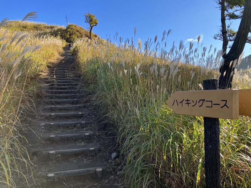 おすすめモデルコース