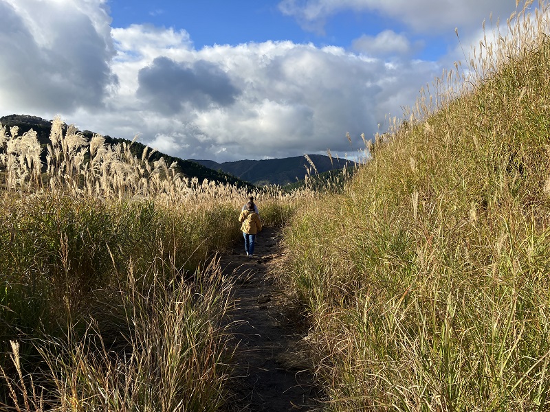 ススキの道を散策