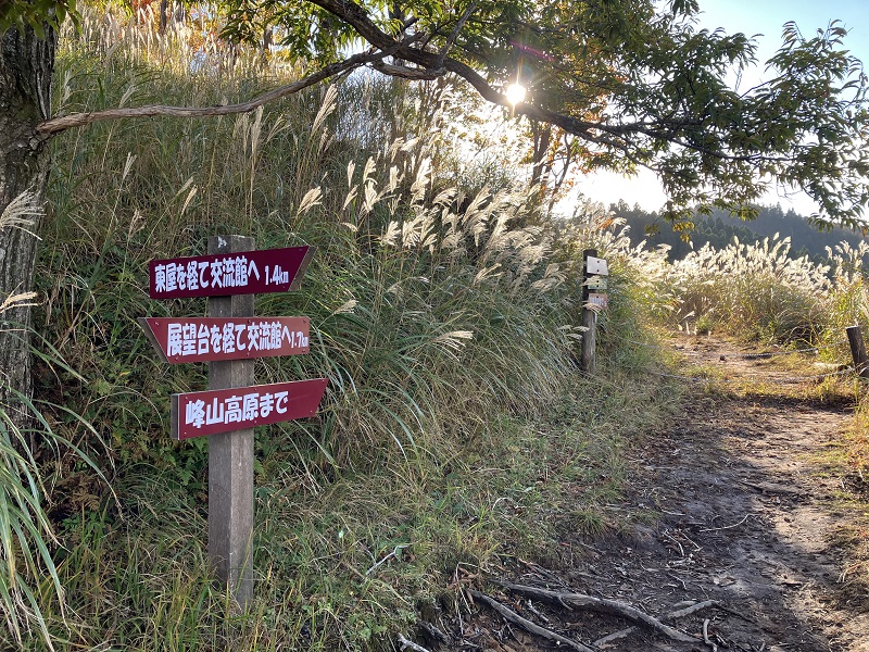 ドライブコース