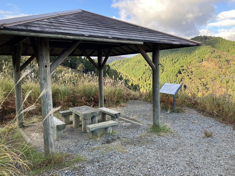 ドライブに人気