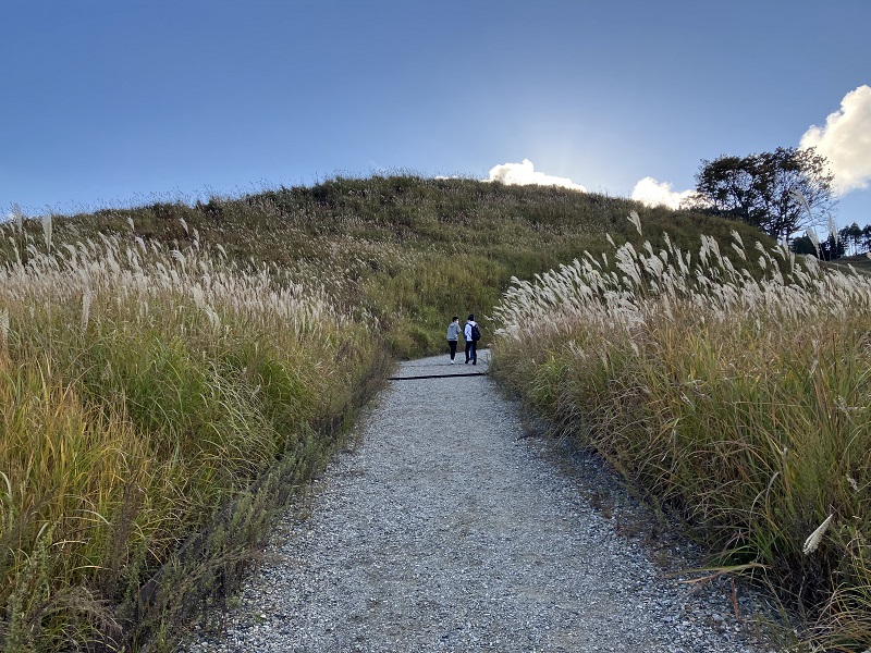 映画の撮影で有名