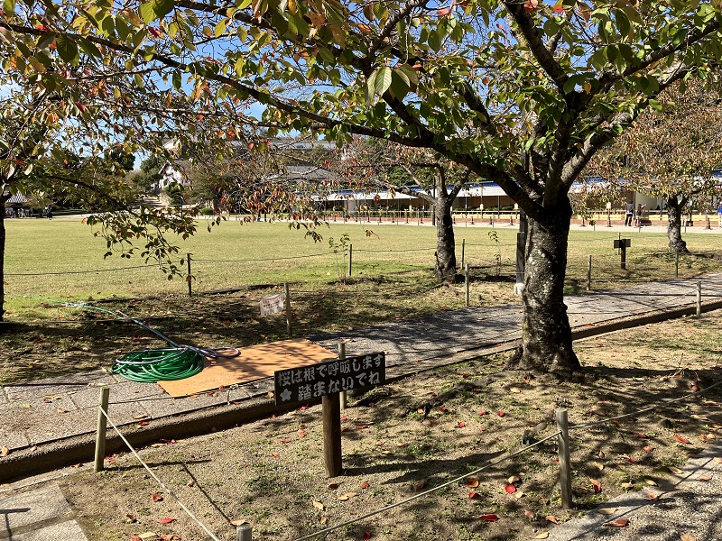 飲食できる場所