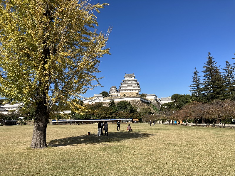 三の丸広場 飲食
