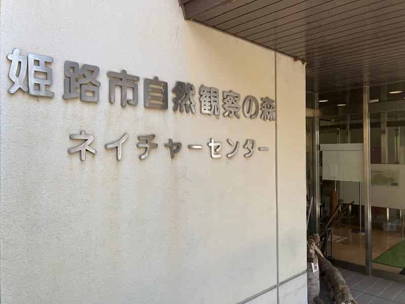 自然観察の森(姫路)